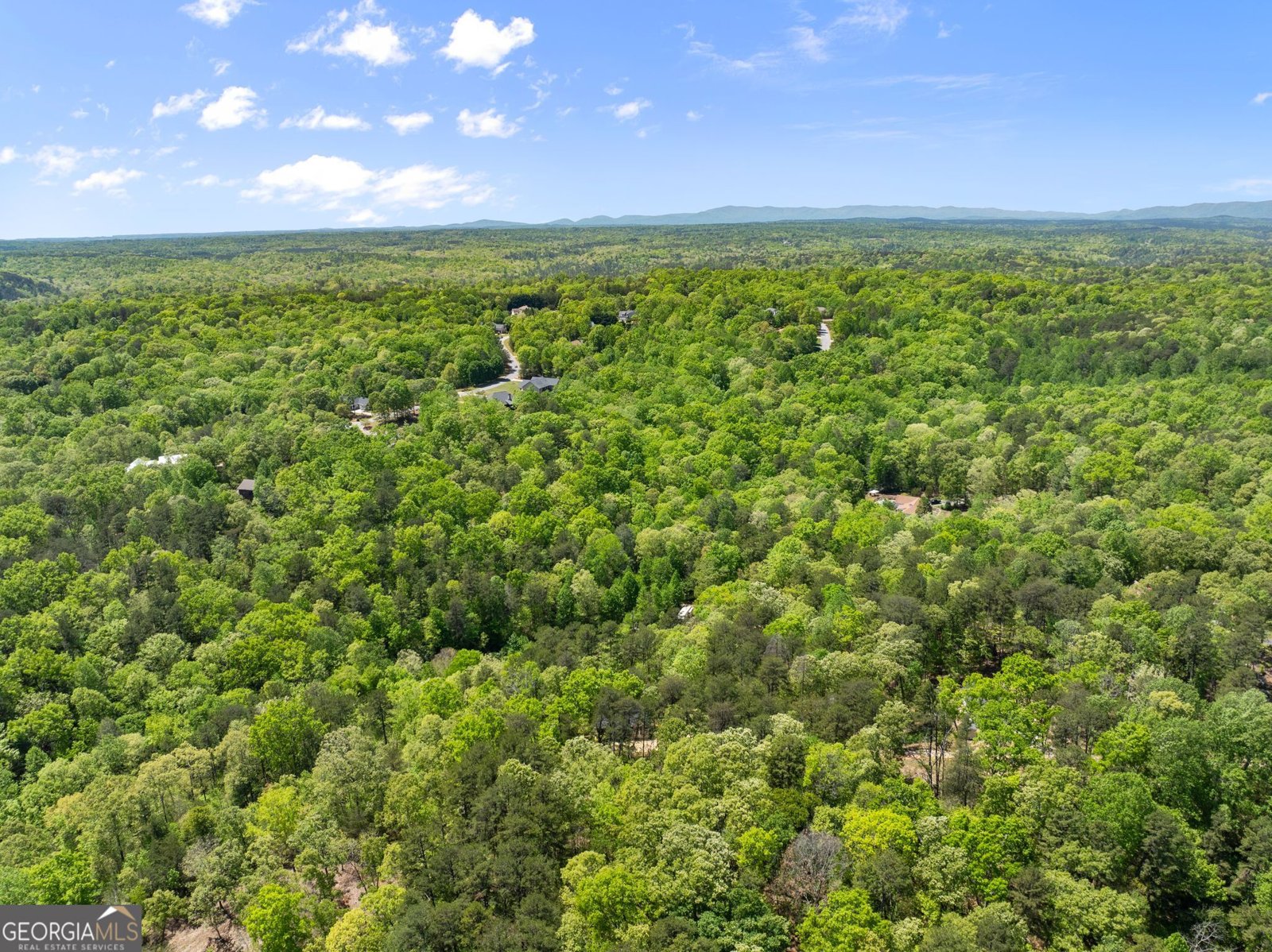 2184 Ben Higgins Road Dahlonega - Photo 43