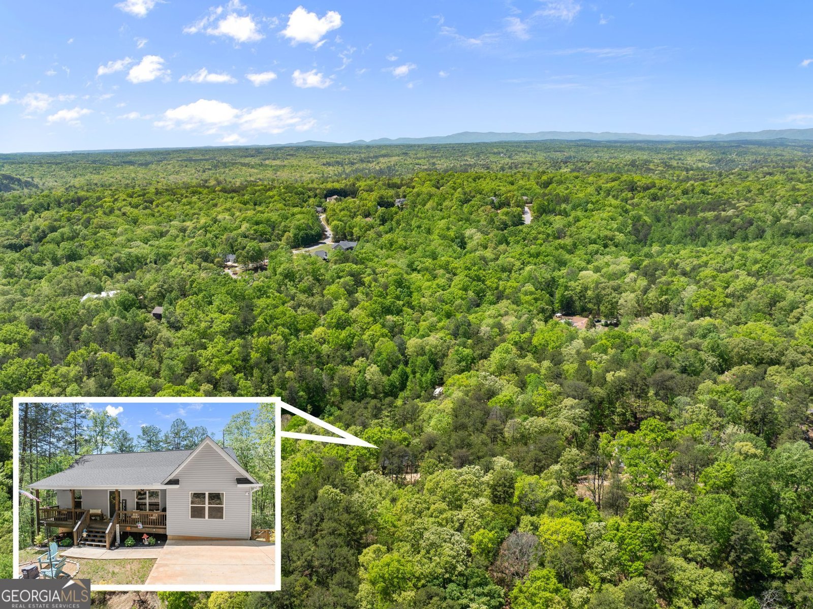 2184 Ben Higgins Road Dahlonega - Photo 44