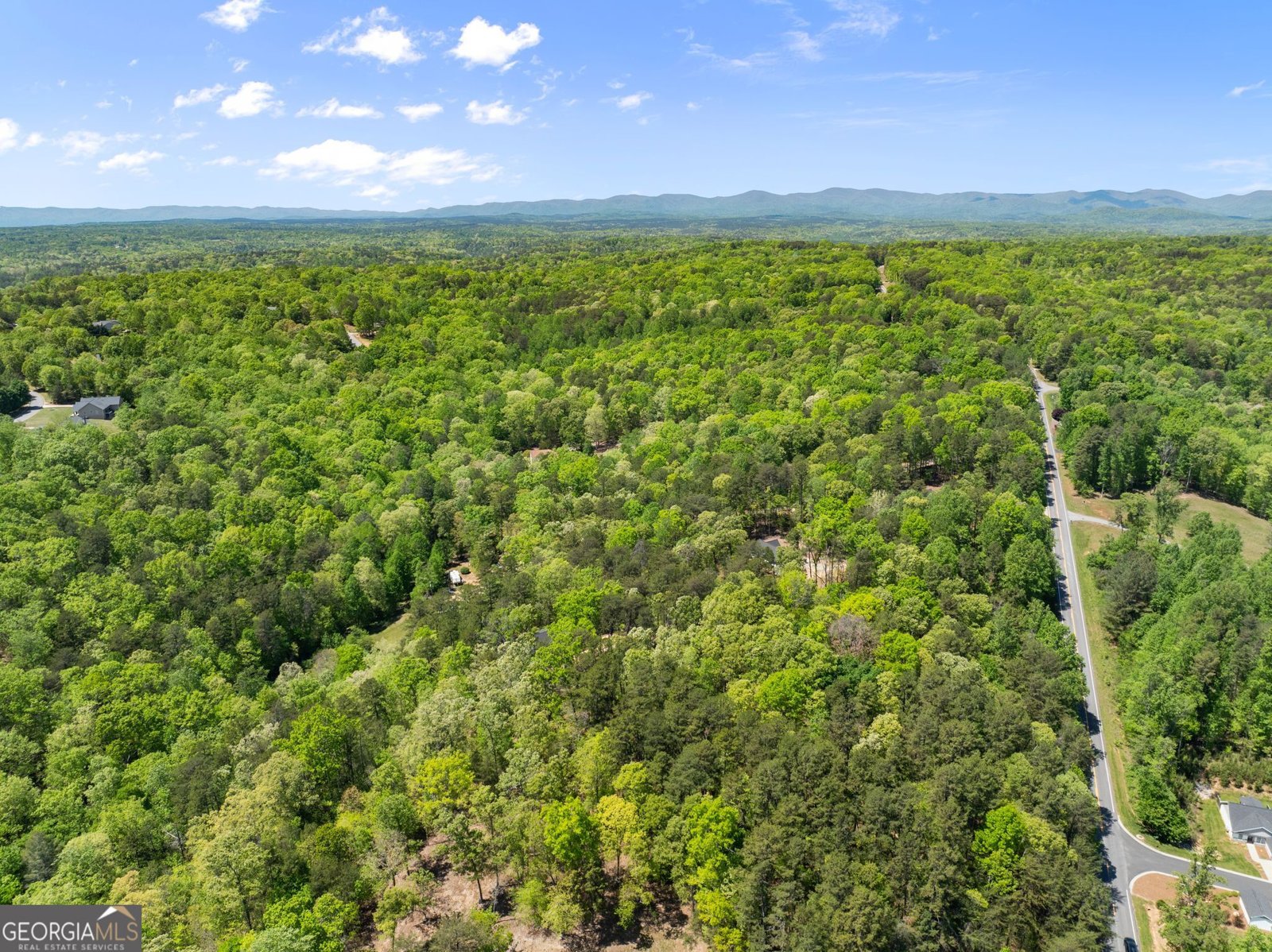2184 Ben Higgins Road Dahlonega - Photo 45