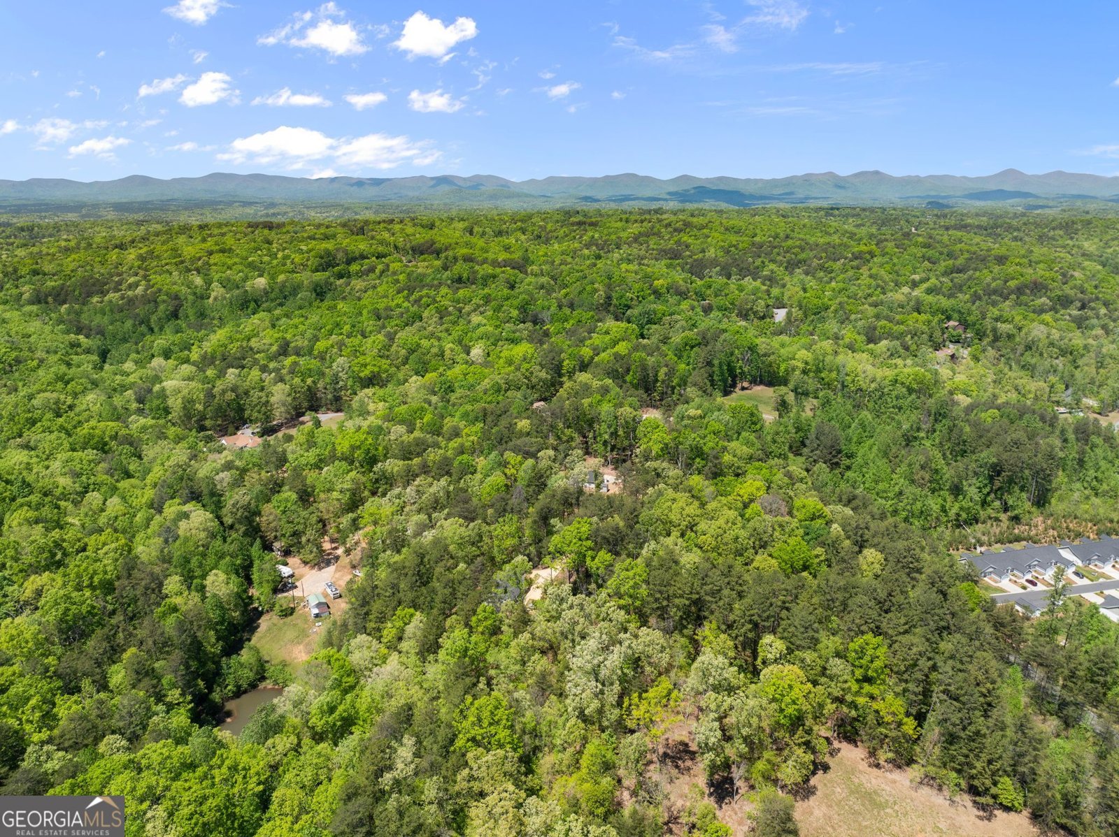 2184 Ben Higgins Road Dahlonega - Photo 46