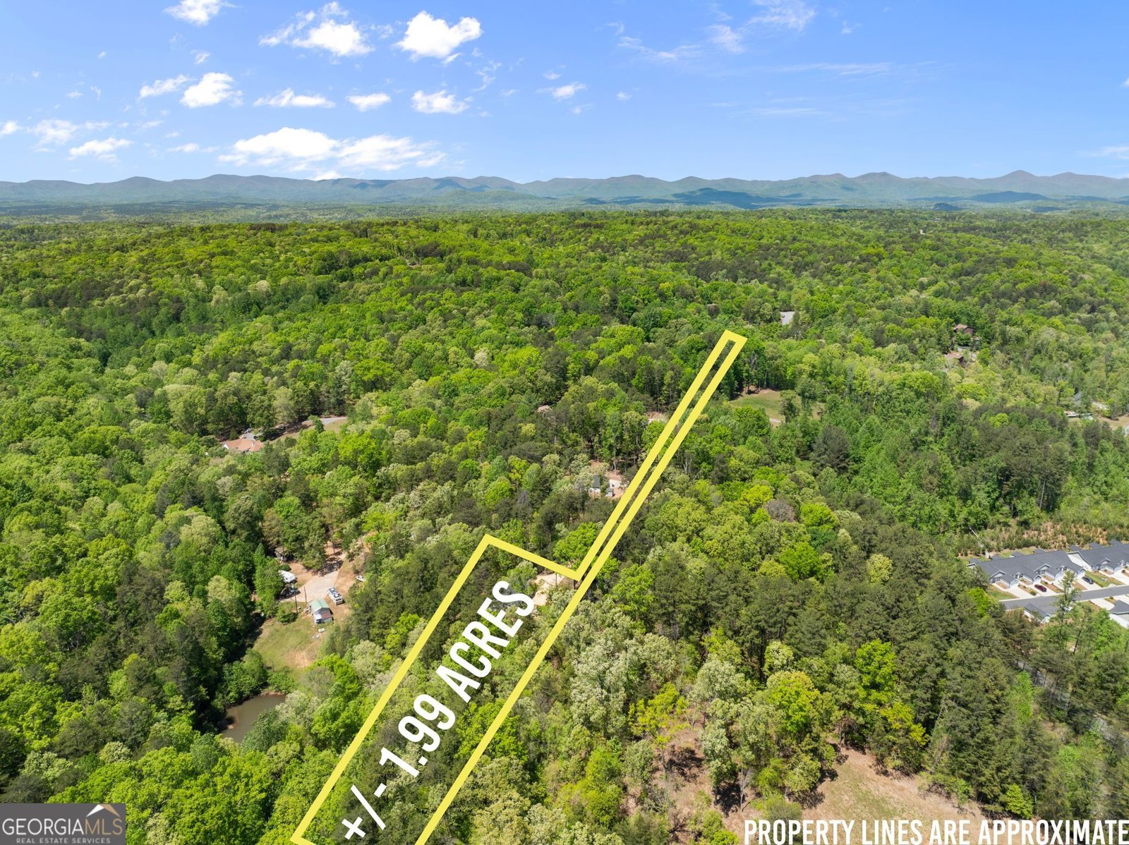 2184 Ben Higgins Road Dahlonega - Photo 47