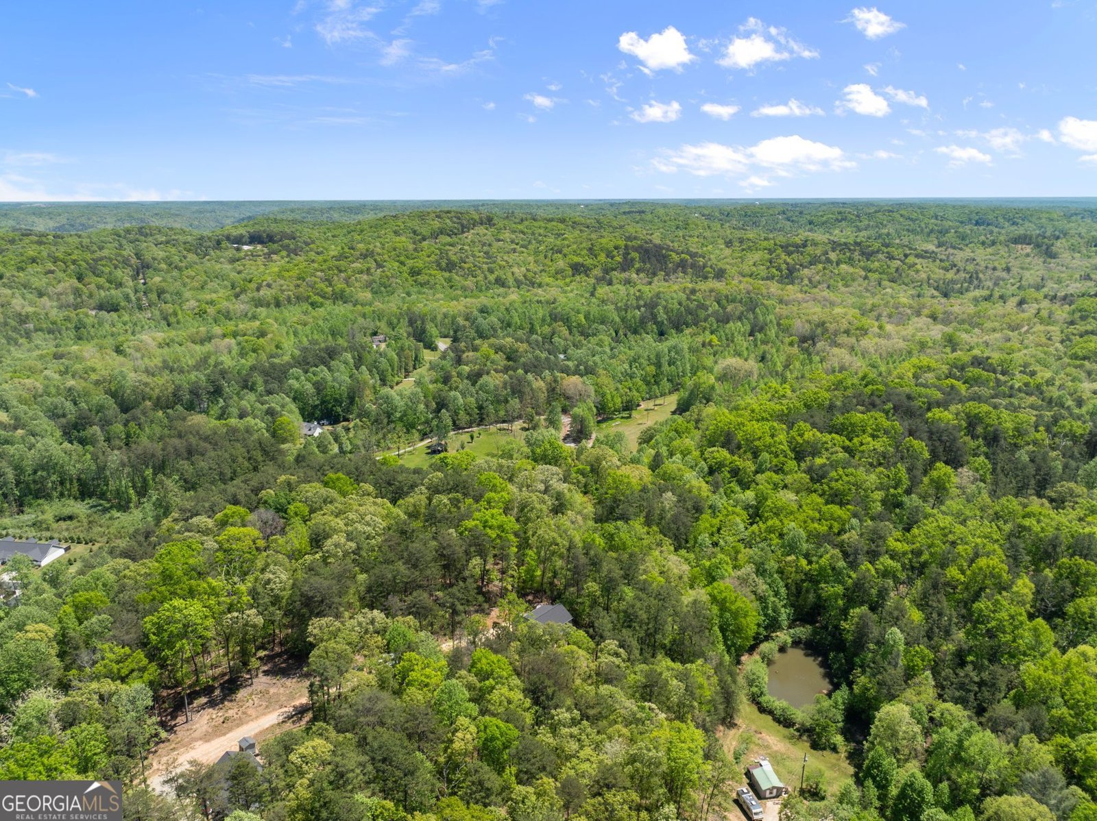 2184 Ben Higgins Road Dahlonega - Photo 49