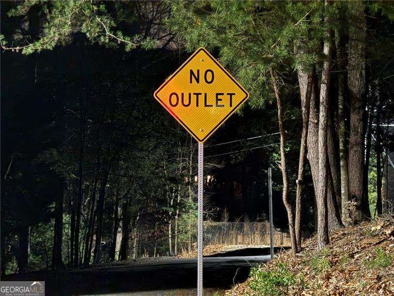 7280 Collins Drive Cumming - Photo 100