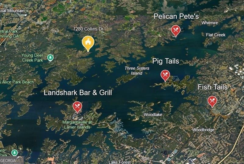 7280 Collins Drive Cumming - Photo 106