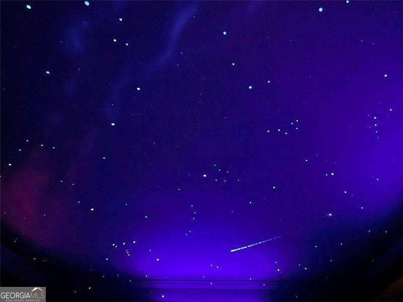 7280 Collins Drive Cumming - Photo 50