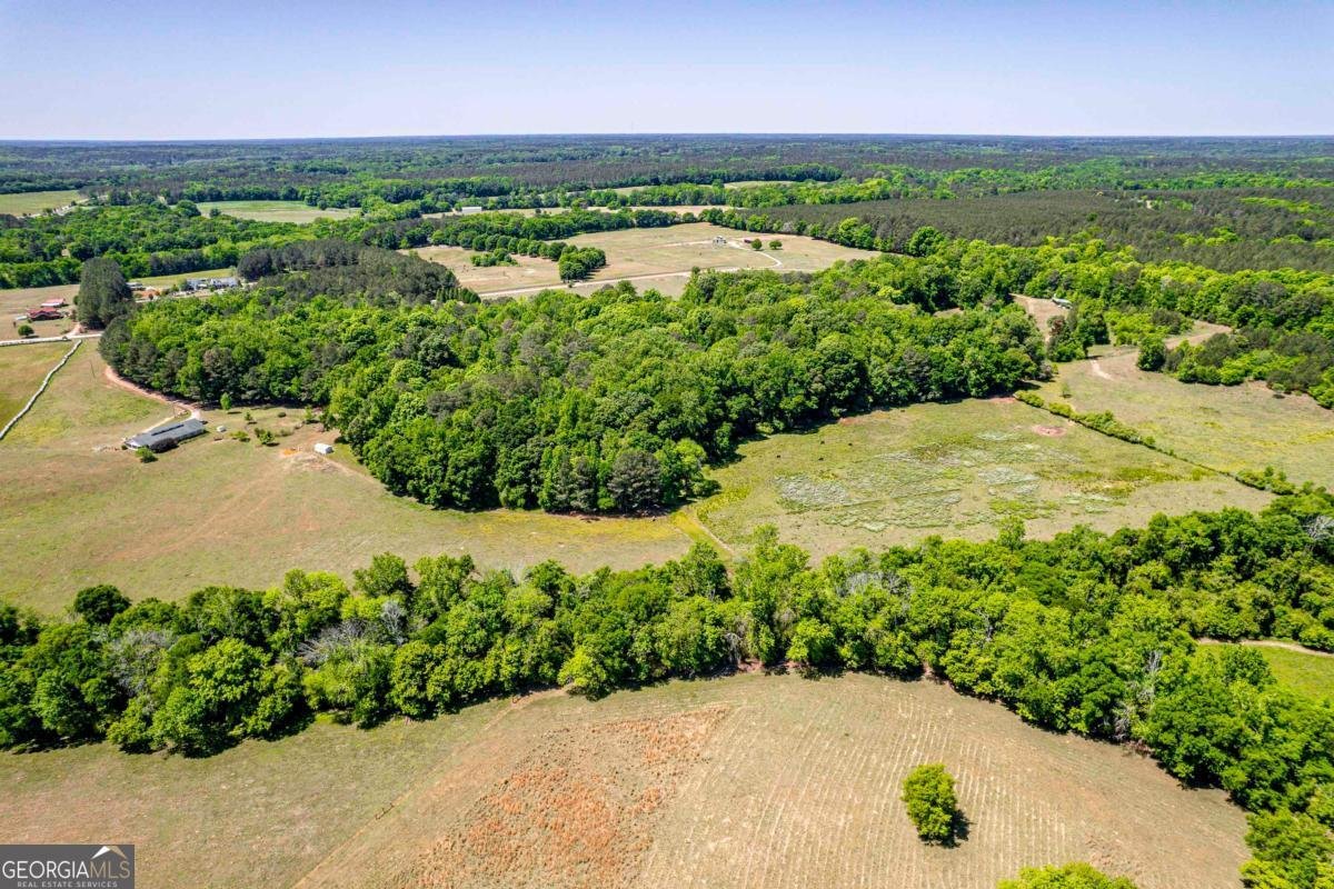 1401 Fieldcrest Court Buckhead - Photo 10