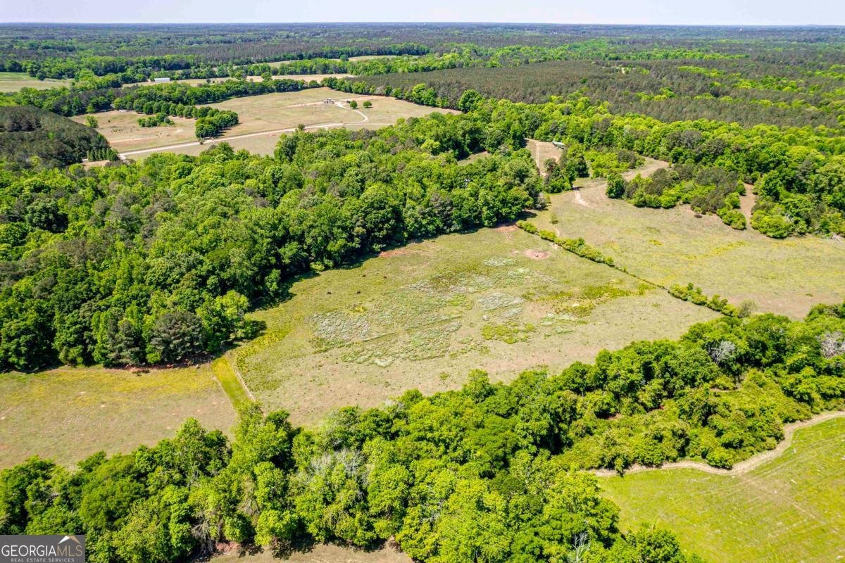 1401 Fieldcrest Court Buckhead - Photo 11