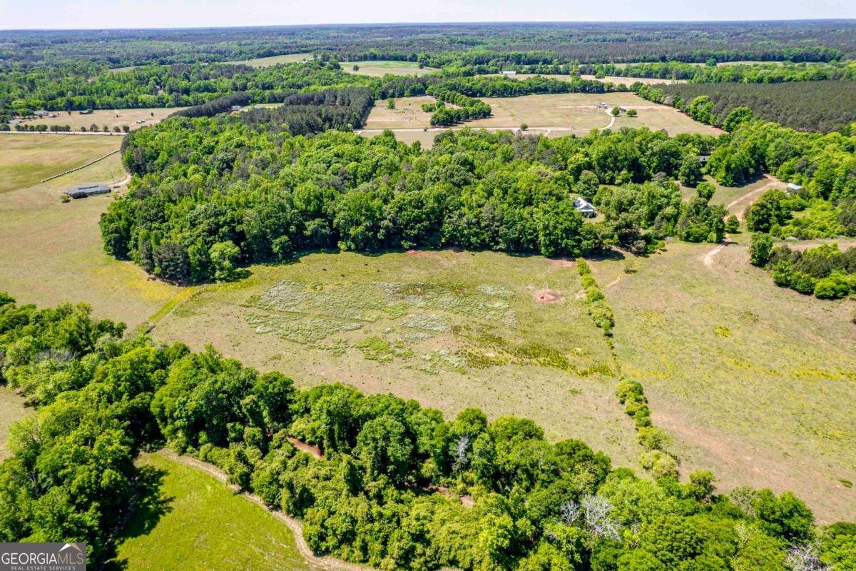 1401 Fieldcrest Court Buckhead - Photo 12