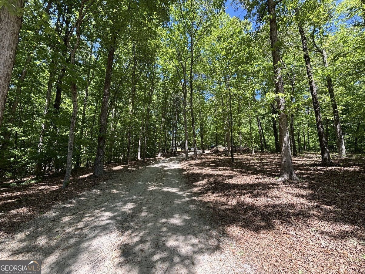 5655 Blackjack Road Flowery Branch - Photo 6