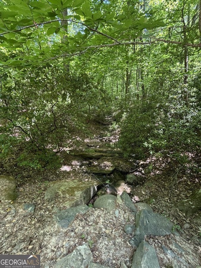 5655 Blackjack Road Flowery Branch - Photo 7