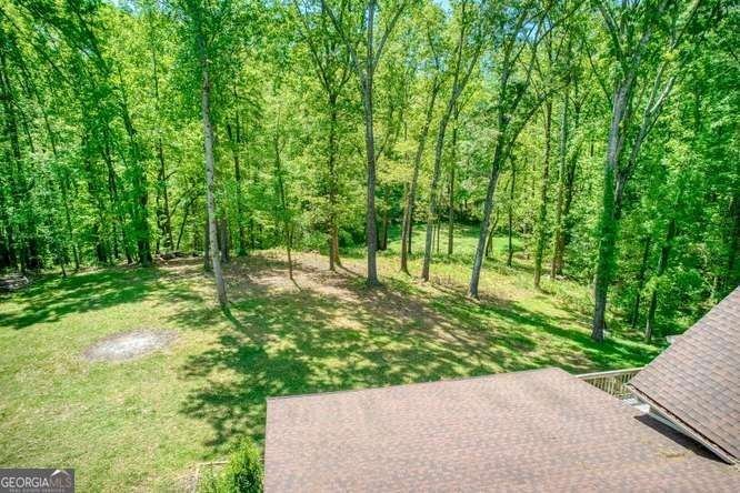 4854 Ivey Lane Douglasville - Photo 73