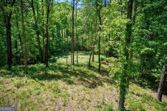 4854 Ivey Lane Douglasville - Photo 75