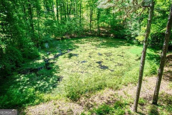 4854 Ivey Lane Douglasville - Photo 76