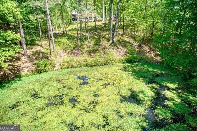 4854 Ivey Lane Douglasville - Photo 77