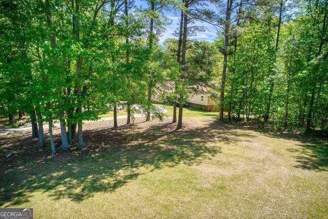 4854 Ivey Lane Douglasville - Photo 86