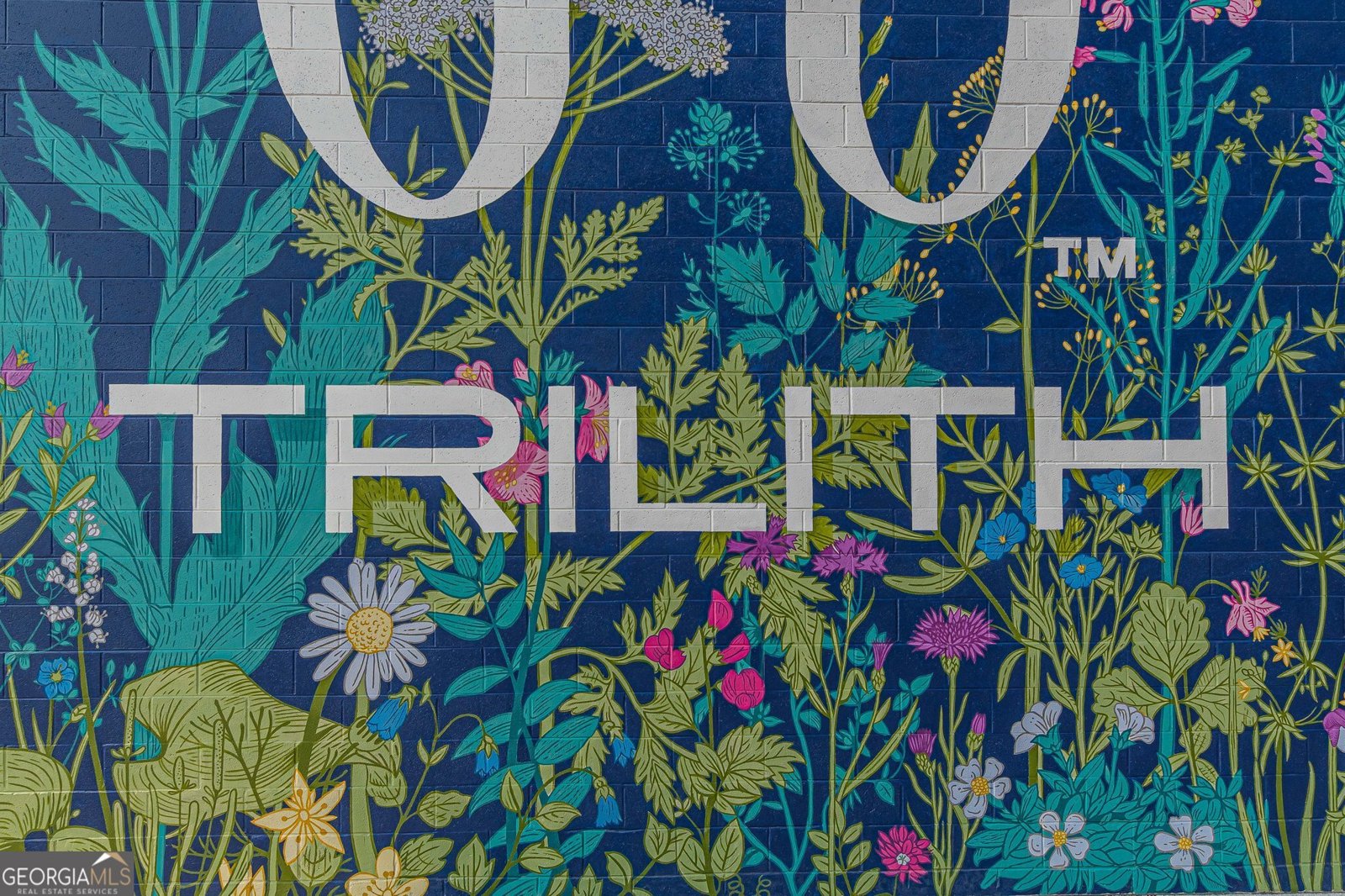 290 Guild Lane Fayetteville - Photo 117