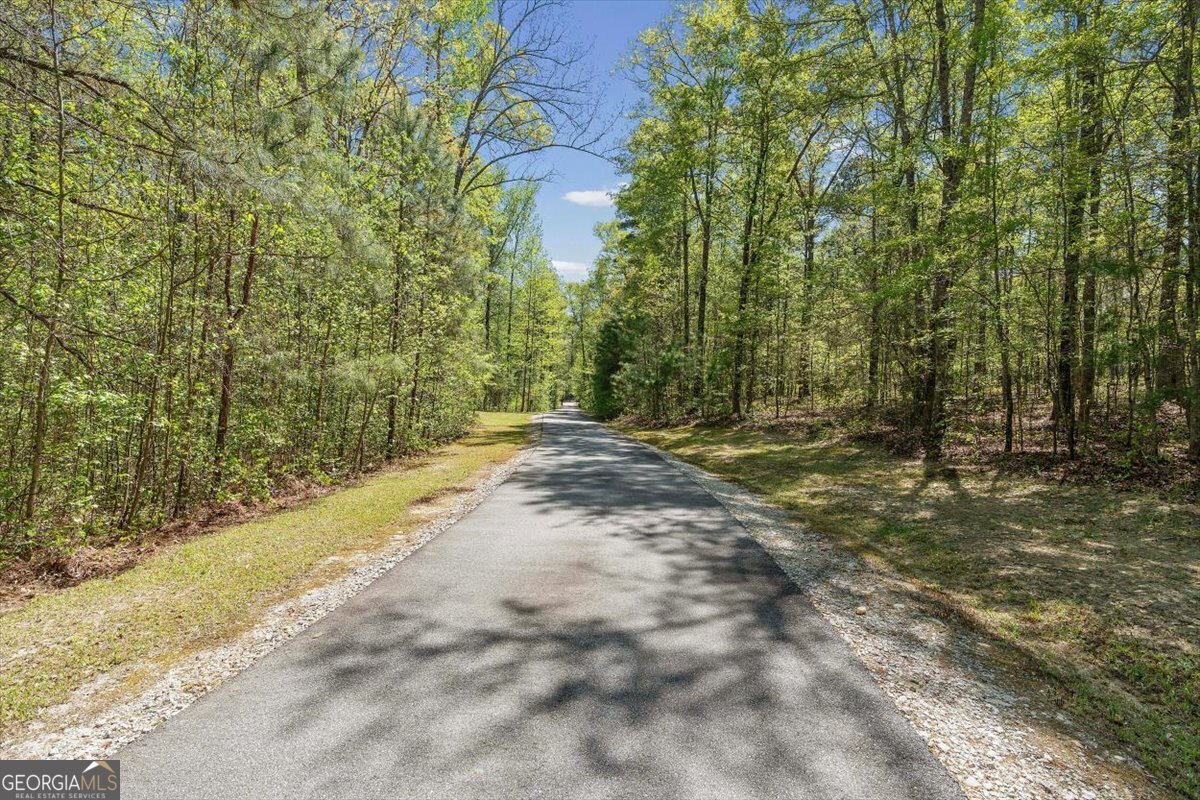 8878 Brewer Road Douglasville - Photo 43