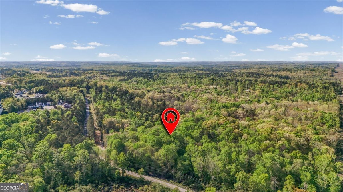 8878 Brewer Road Douglasville - Photo 47