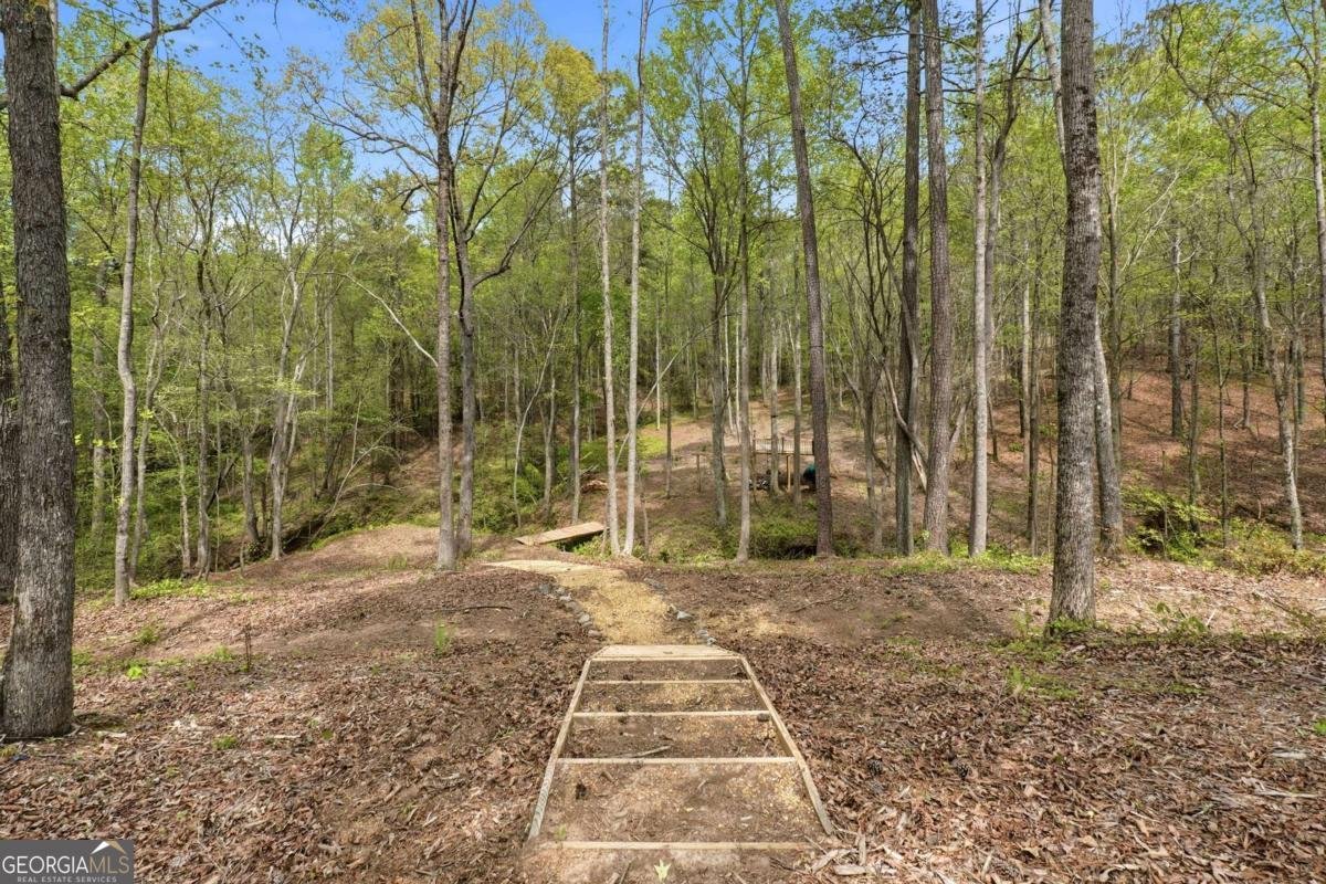 326 Masons Way Waleska - Photo 40