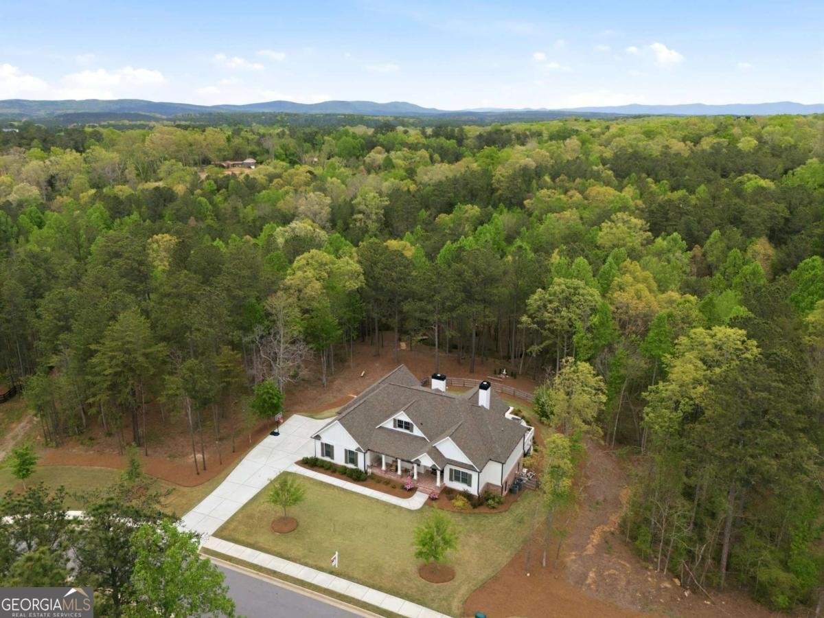 326 Masons Way Waleska - Photo 45