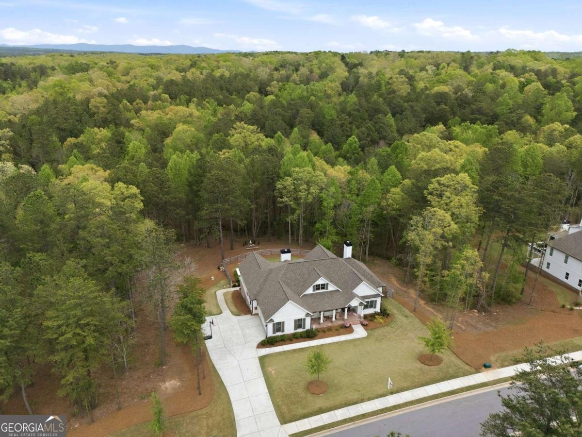 326 Masons Way Waleska - Photo 46