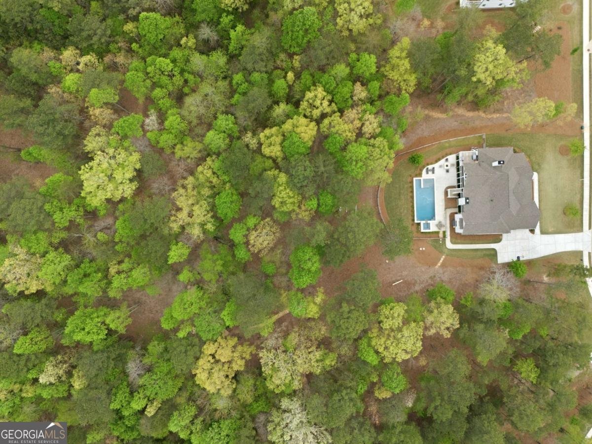 326 Masons Way Waleska - Photo 47