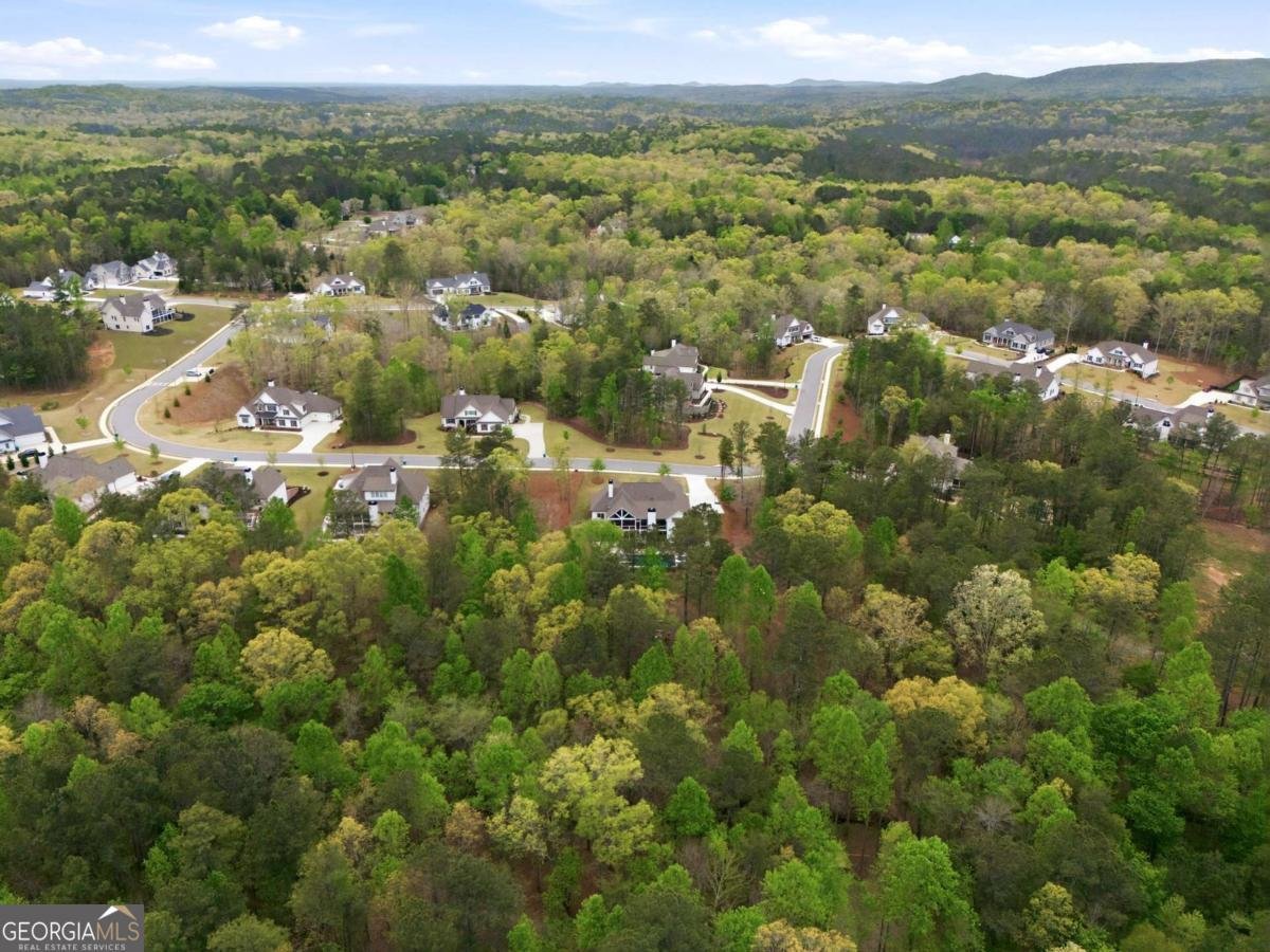 326 Masons Way Waleska - Photo 48