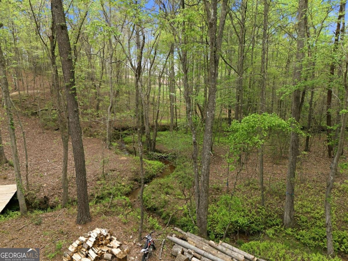 326 Masons Way Waleska - Photo 49