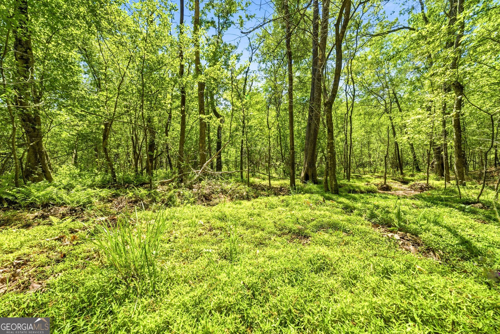 190 Valley Bluff Drive Fayetteville - Photo 36