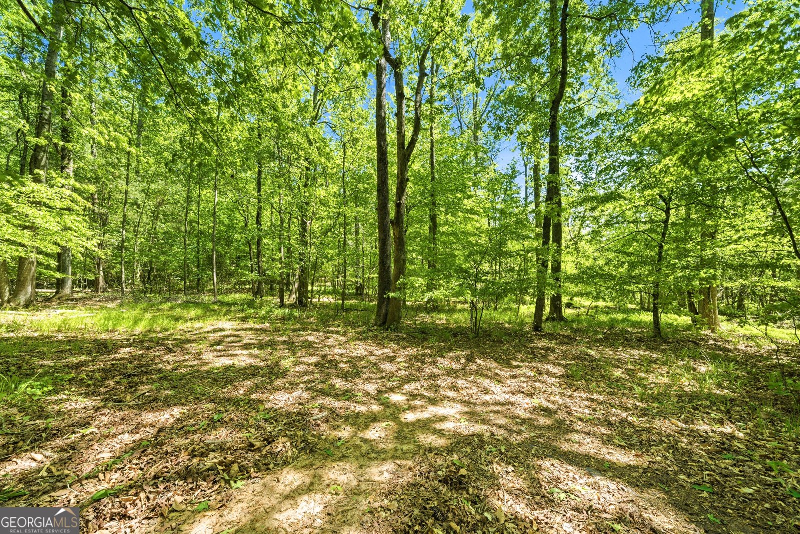 190 Valley Bluff Drive Fayetteville - Photo 37