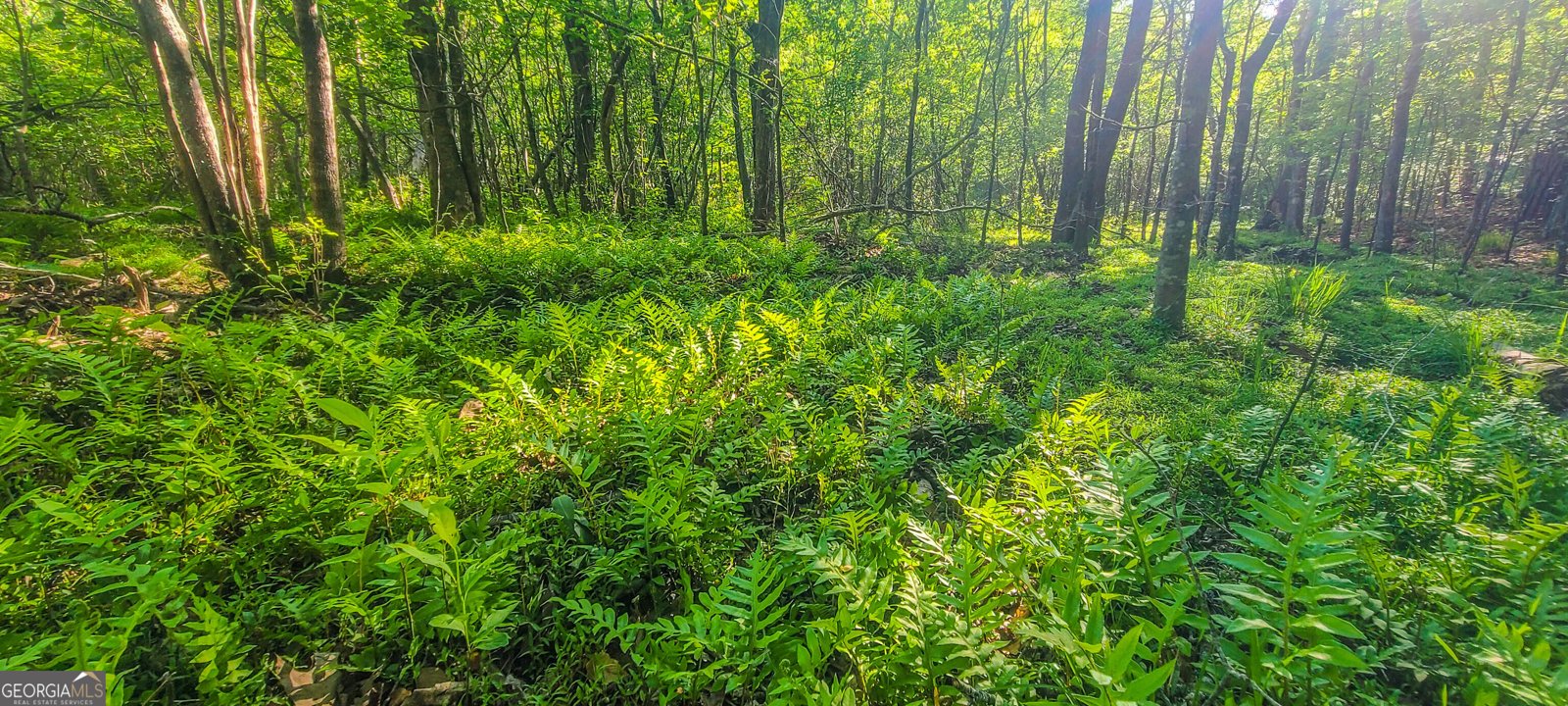 190 Valley Bluff Drive Fayetteville - Photo 38