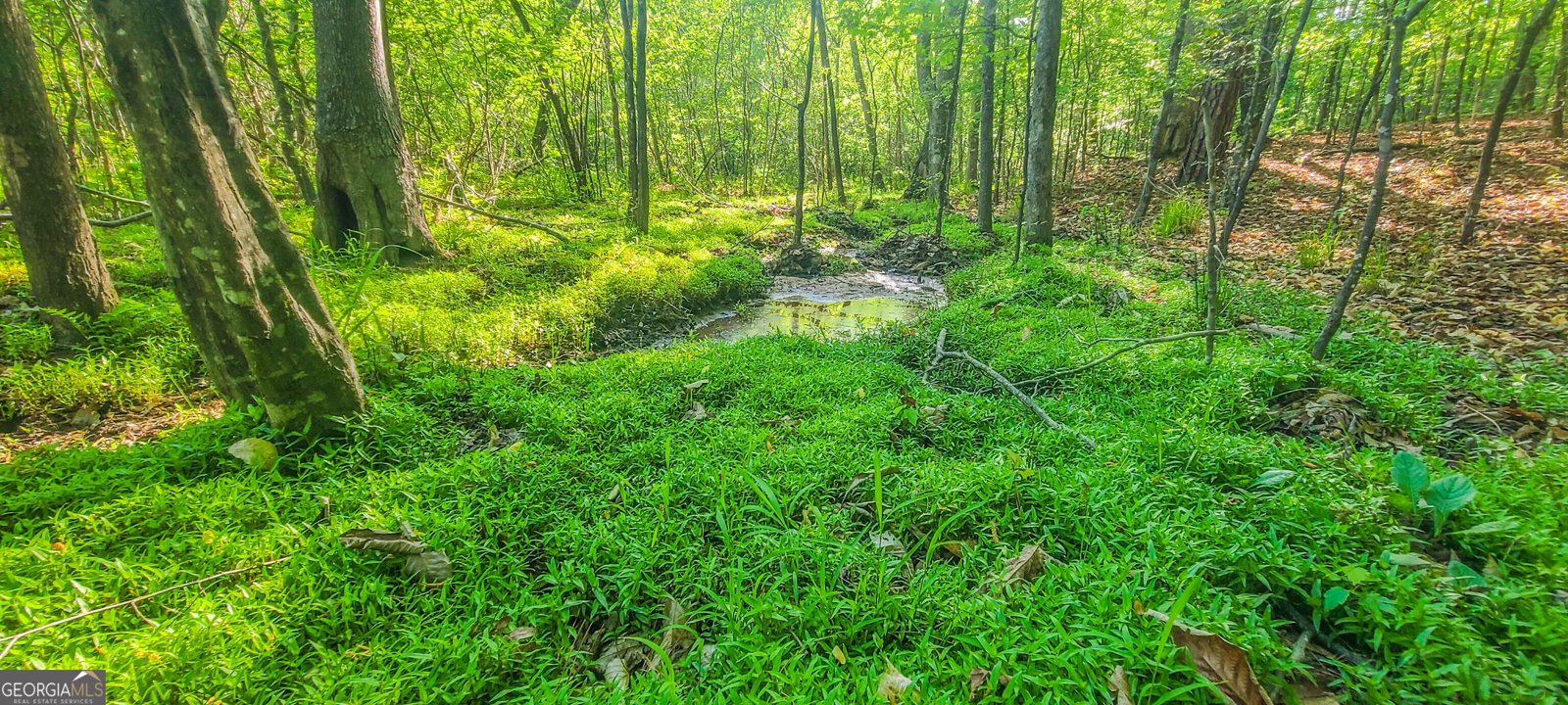 190 Valley Bluff Drive Fayetteville - Photo 39