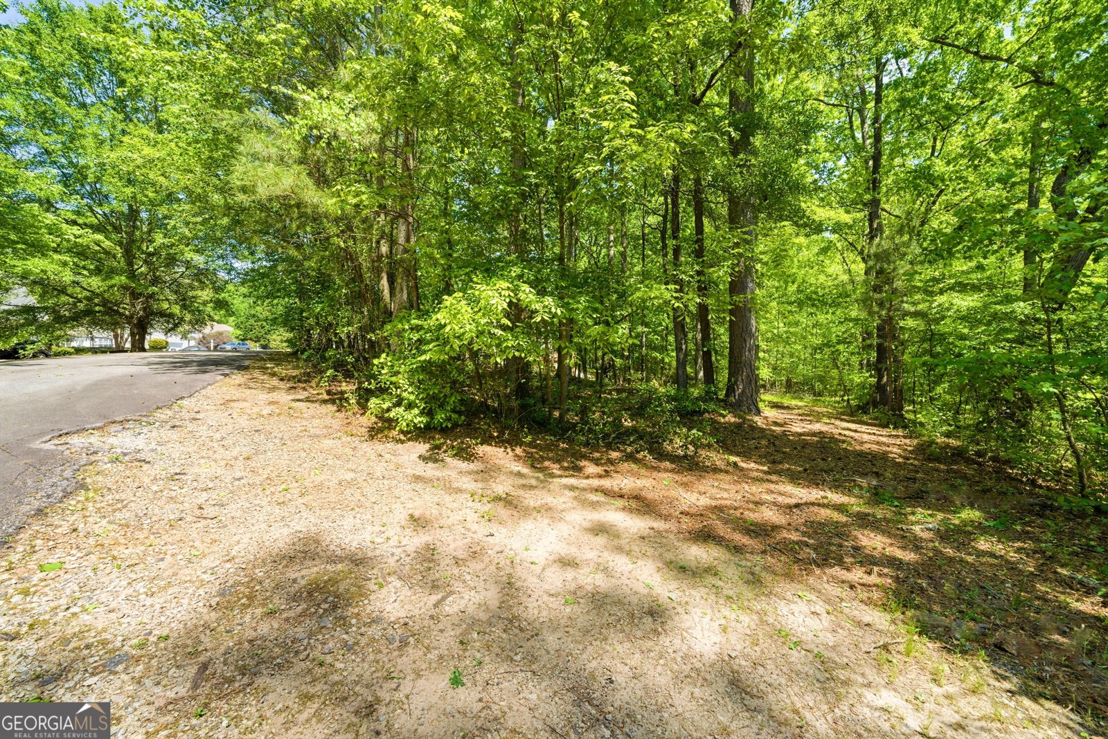 190 Valley Bluff Drive Fayetteville - Photo 41