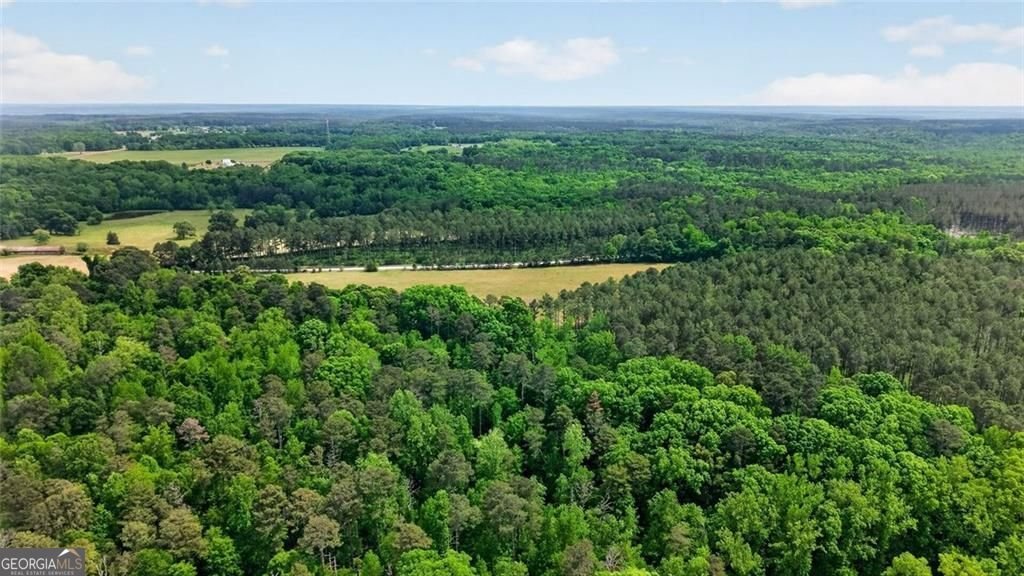 4802 Colham Ferry Road Watkinsville - Photo 25