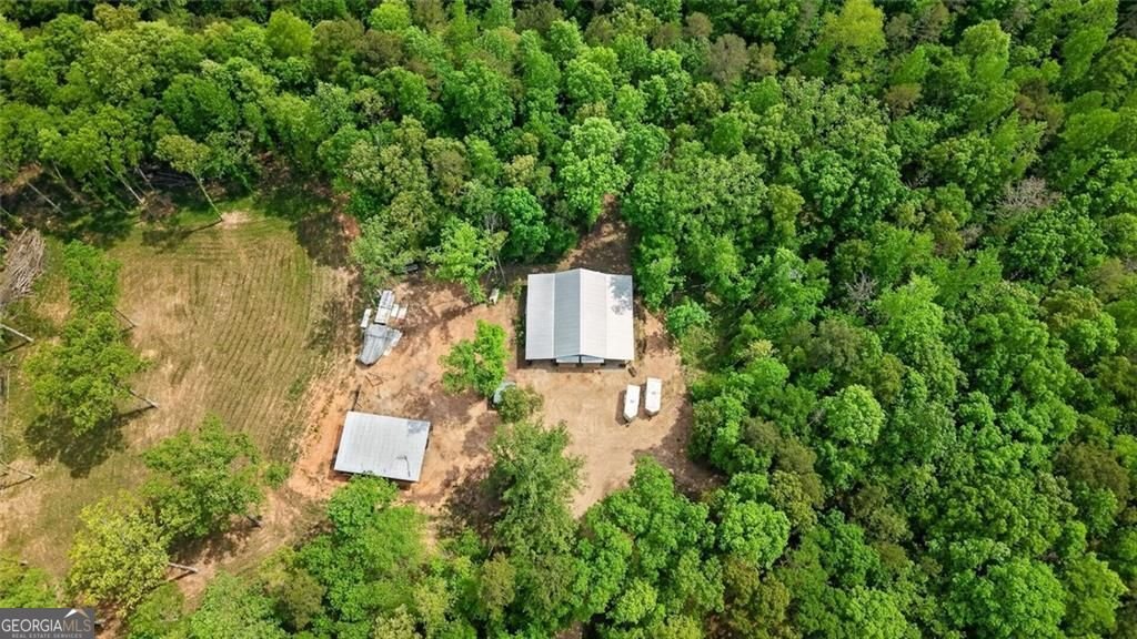 4802 Colham Ferry Road Watkinsville - Photo 30