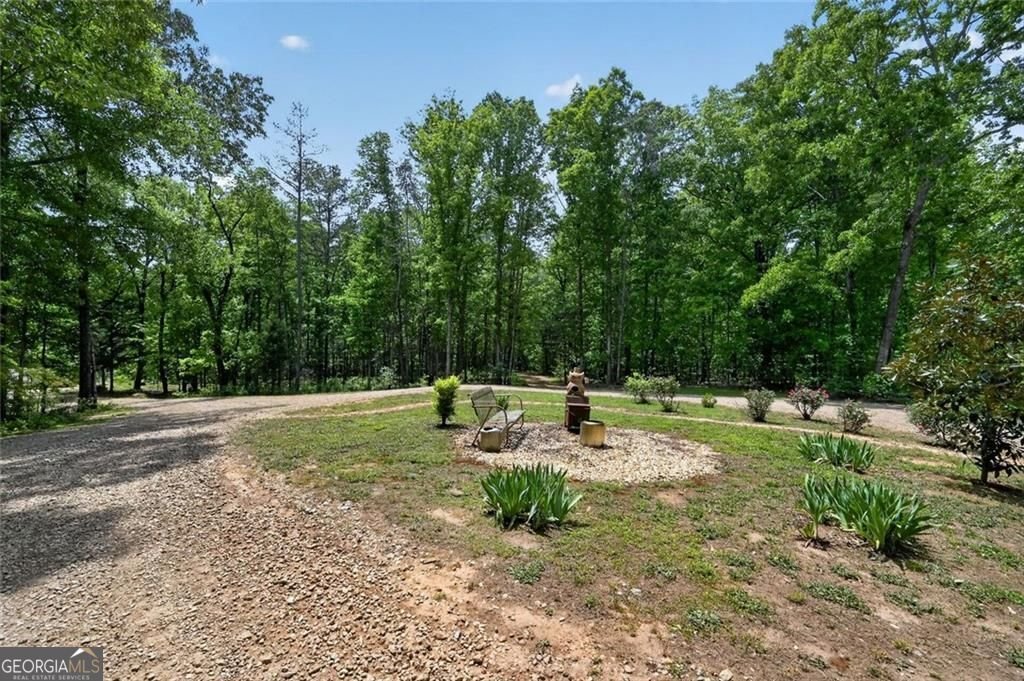 4802 Colham Ferry Road Watkinsville - Photo 34