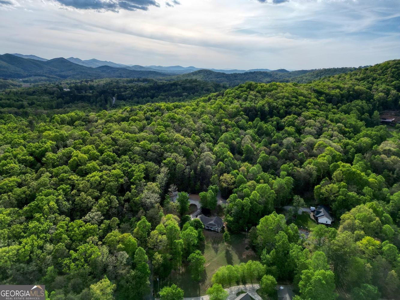 78 Bells Hollow Blairsville - Photo 66