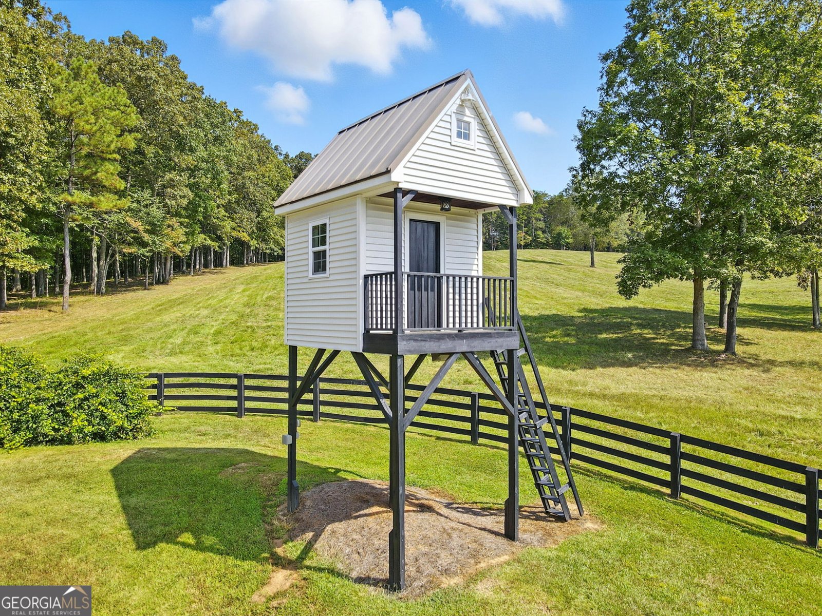 2229 Long Road Ball Ground - Photo 73