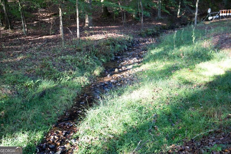 2229 Long Road Ball Ground - Photo 75