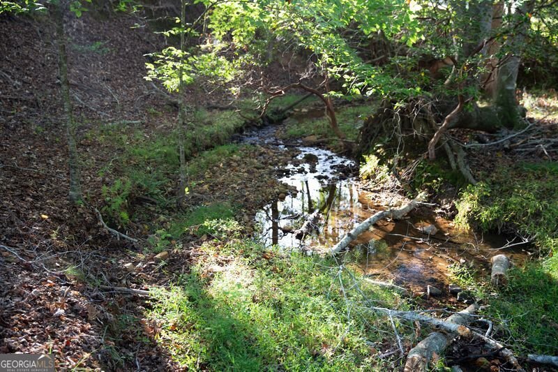 2229 Long Road Ball Ground - Photo 76