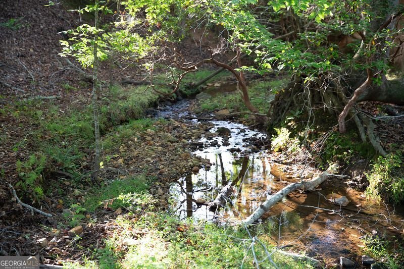 2229 Long Road Ball Ground - Photo 77