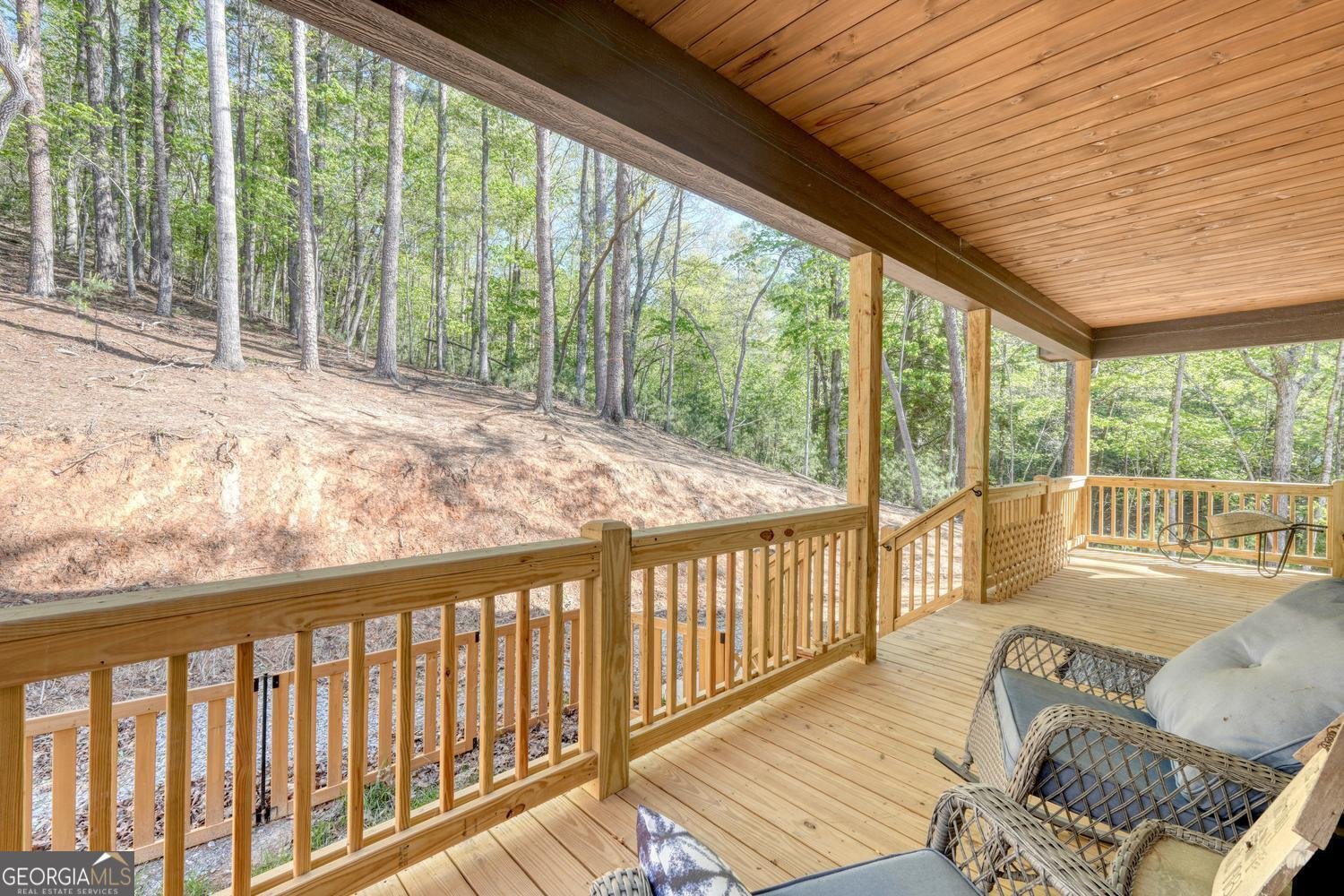 618 Satsuma Court Ellijay - Photo 55