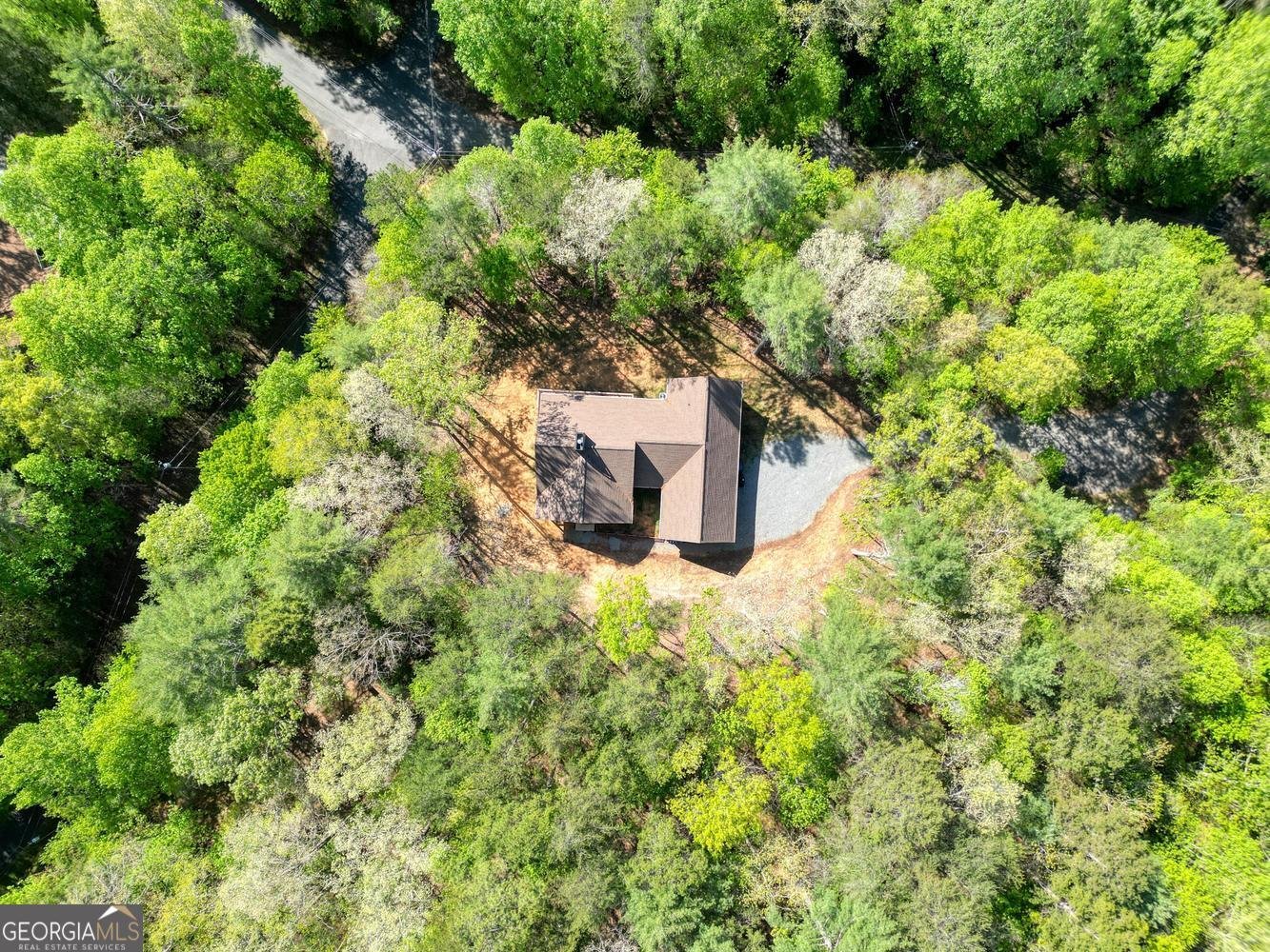 618 Satsuma Court Ellijay - Photo 56