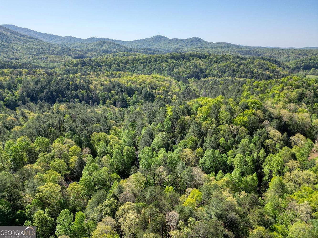 618 Satsuma Court Ellijay - Photo 57