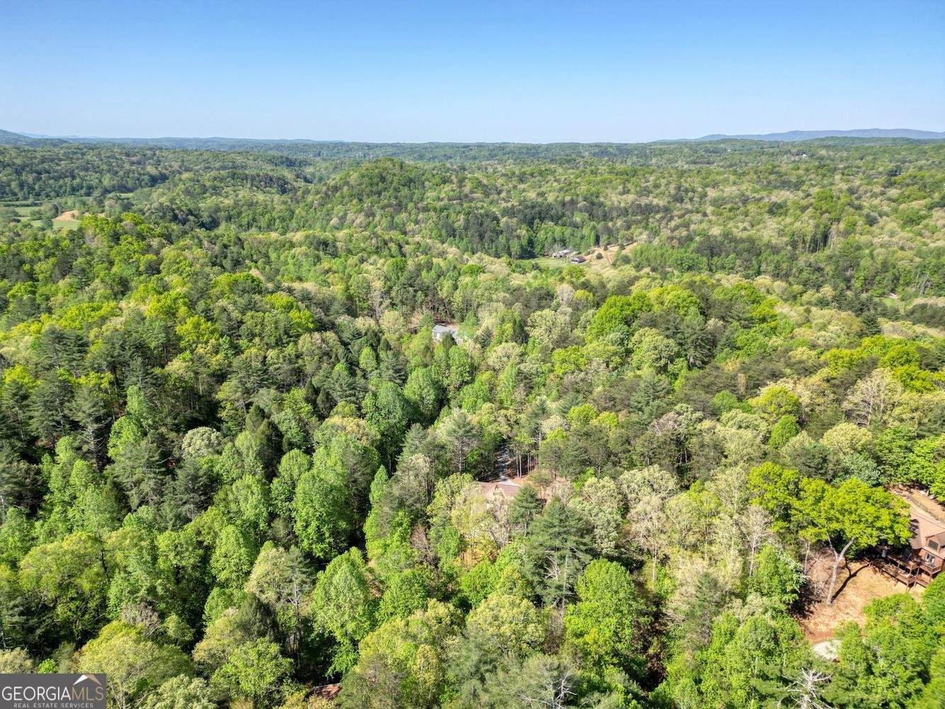 618 Satsuma Court Ellijay - Photo 58