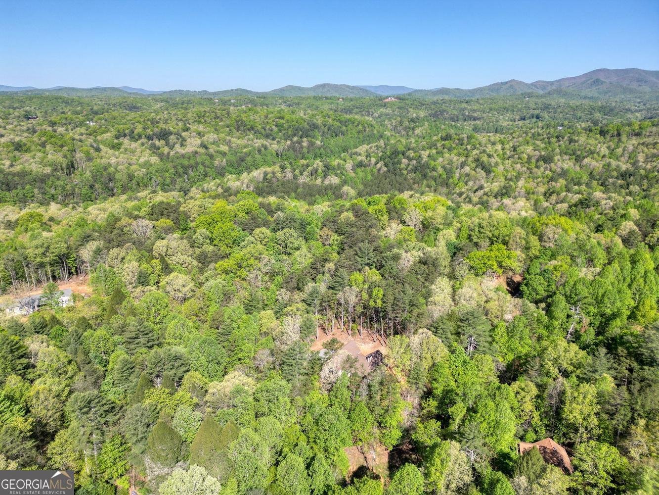 618 Satsuma Court Ellijay - Photo 59