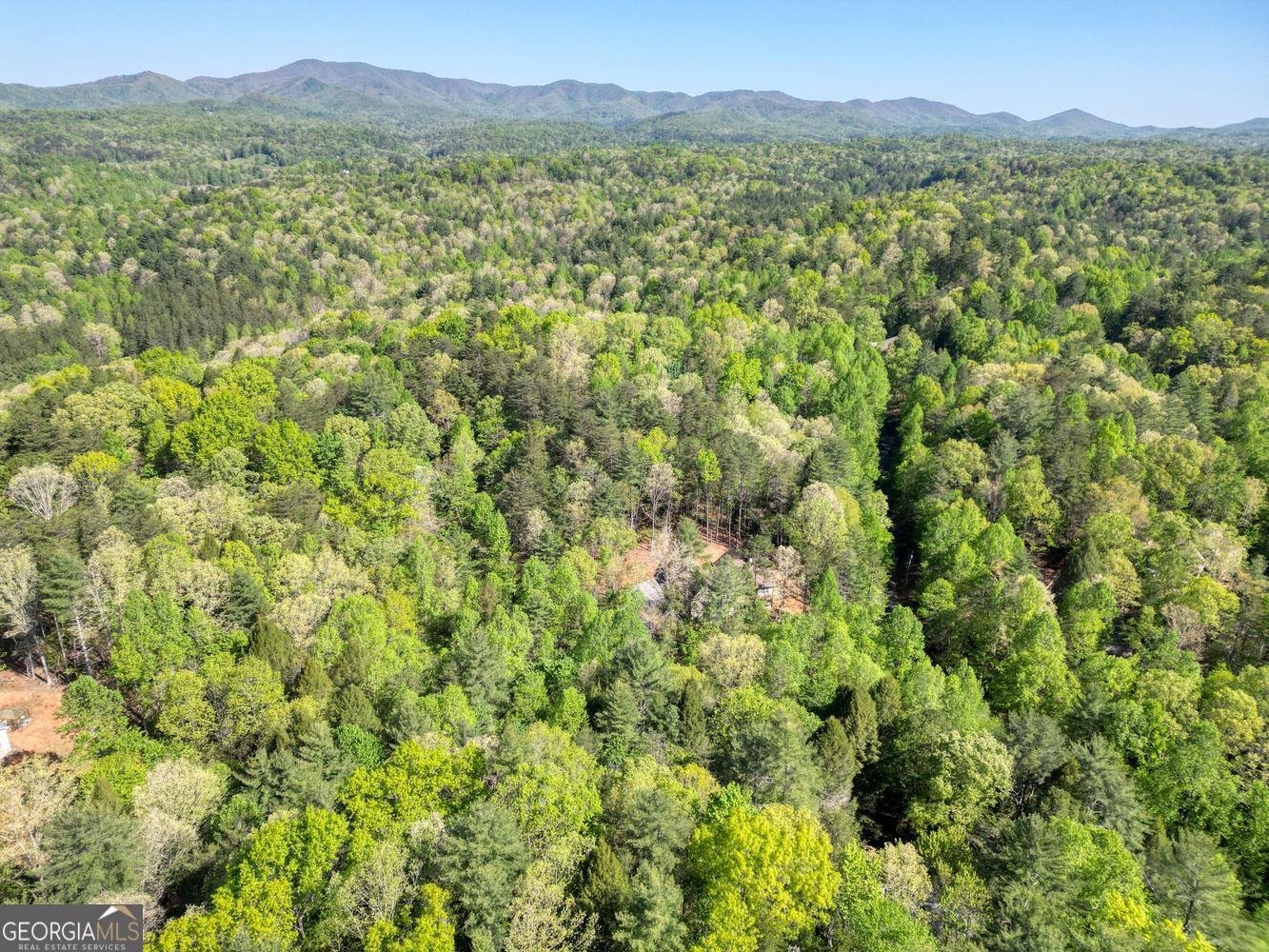 618 Satsuma Court Ellijay - Photo 60