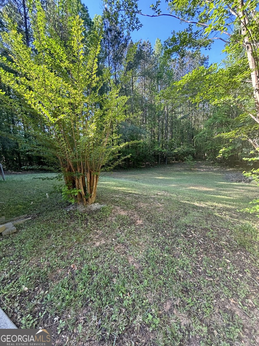 1417 Cook Road Oxford - Photo 9