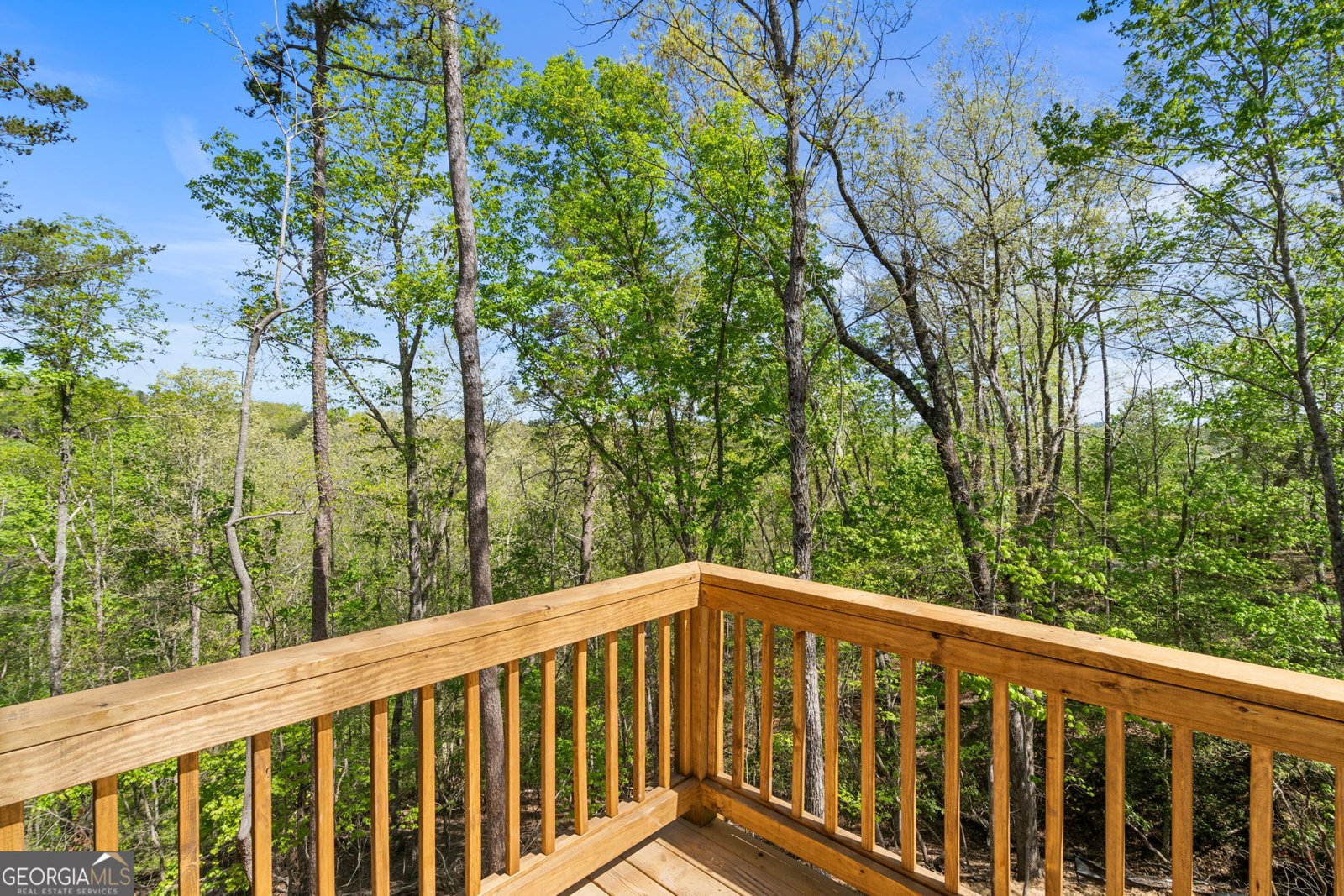 123 Pamela Court Ellijay - Photo 16