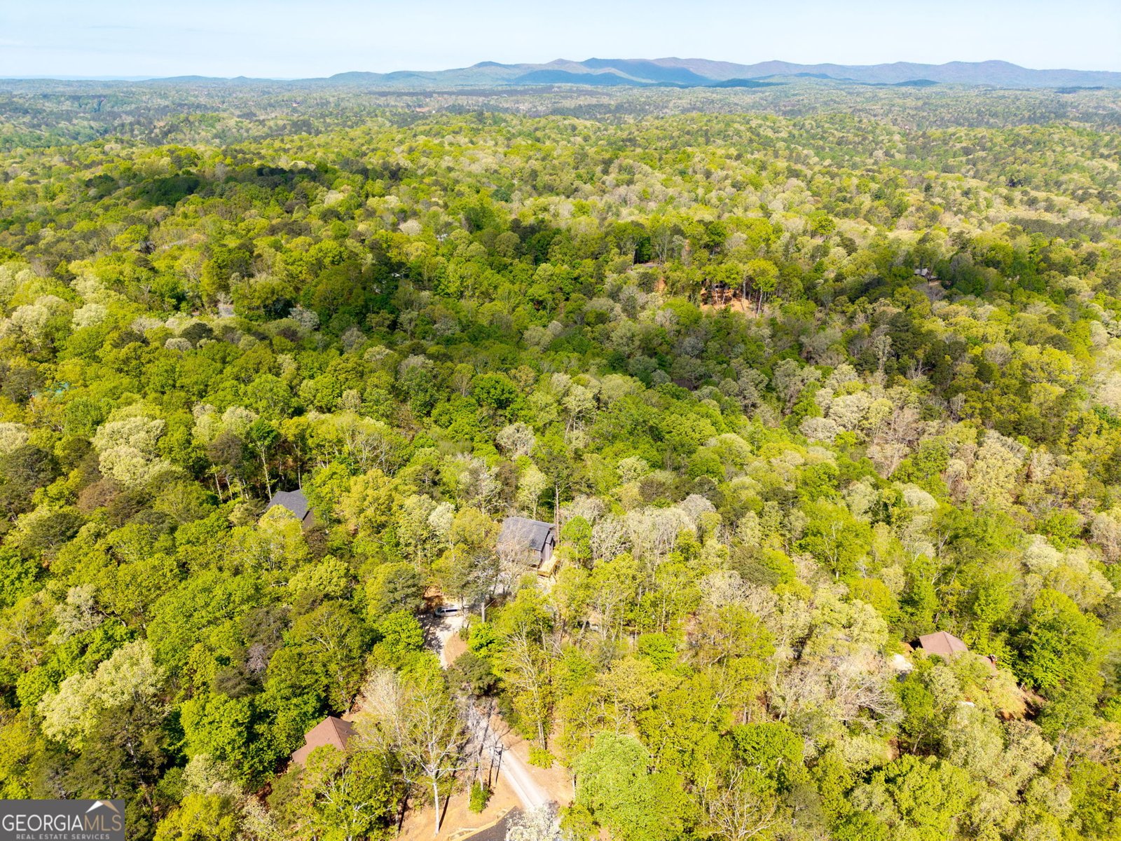 123 Pamela Court Ellijay - Photo 48